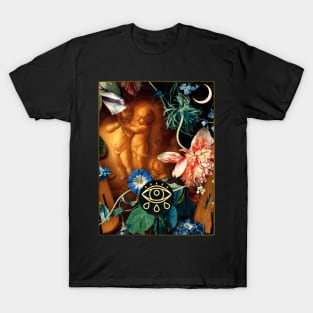 “the older the violin, the sweeter the music.” T-Shirt